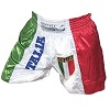 FIGHT-FIT - Muay Thai Shorts / Italien / Stemma / XL