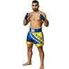 FIGHTERS - Muay Thai Shorts / Bosnien-Bosna