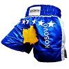 FIGHTERS - Muay Thai Shorts / Kosovo-Kosova / Yll / XL