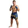 FIGHTERS - Muay Thai Shorts / Blau-Gold / Medium