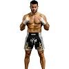 FIGHTERS - Thaibox Shorts / Elite Fighters / Schwarz-Weiss / Large