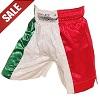 FIGHT-FIT - Muay Thai Shorts / Italien / Tri Colore / Medium