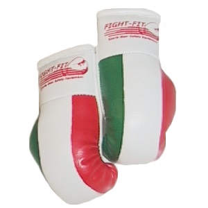 FIGHT-FIT - Mini Boxhandschuhe / Italien