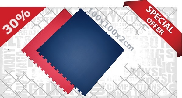 Steckmatten / 100 x 100 x 2.0 cm / Rot-Blau