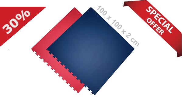 Steckmatten / 100 x 100 x 2.0 cm / Rot-Blau