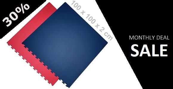 Steckmatten / 100 x 100 x 2.0 cm / Rot-Blau