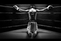 Muay Thai Shorts - Shop für Thaibox Equipment
